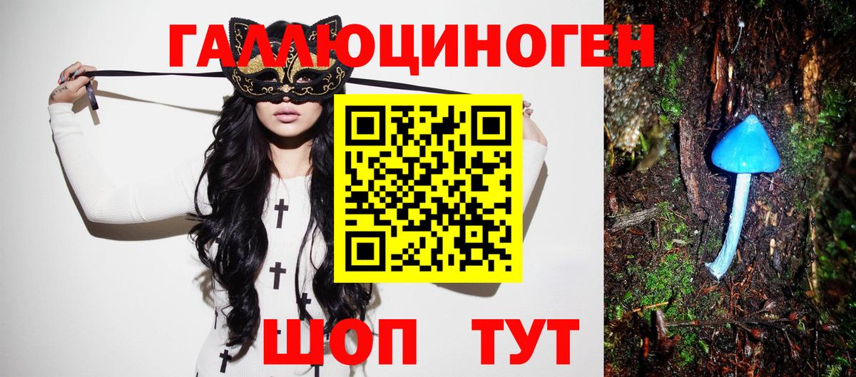 Аргун  дарнет шоп  Вход с VPN  Псилоцибиновые грибы Magic Shrooms 