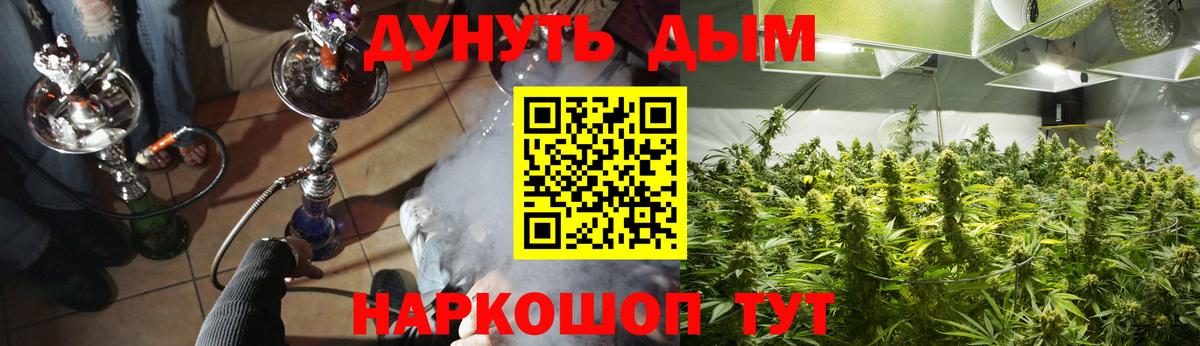Конопля LSD WEED  Бошки марихуана марихуана  Вход с VPN  Шишки марихуана Ganja  Аргун 
